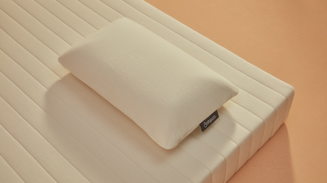 Earthfoam pillow rests on mattress.