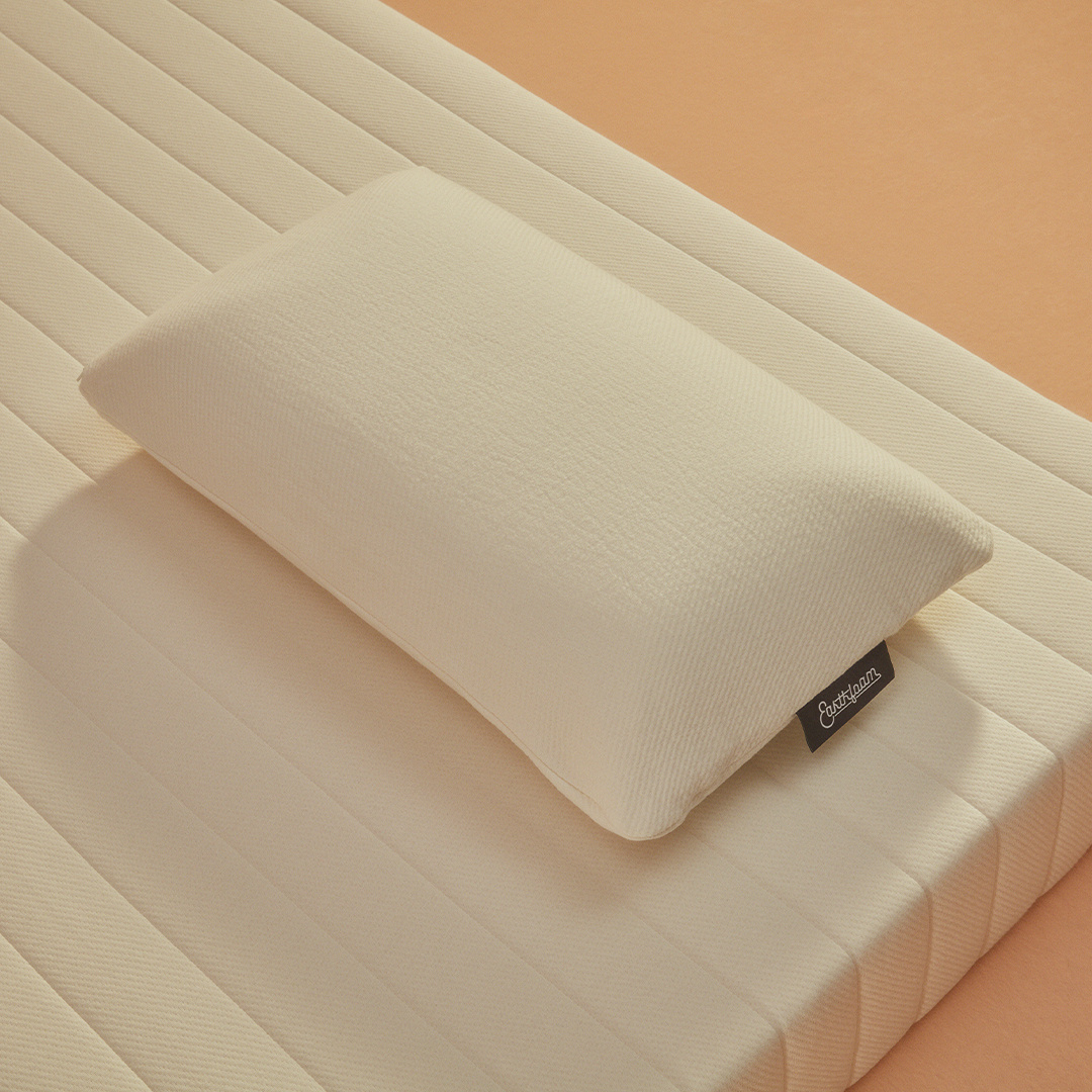 Earthfoam Pillow